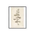 Picture of Flower Sketch IV _GroupedProduct_Rectangle_Portrait_Canvas_Framed_
