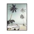 Picture of Palms & Cool Car _GroupedProduct_Rectangle_Portrait_Photography _GroupedProduct_Rectangle_Portrait_Canvas_Framed_