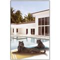 Picture of Panther Lounge _GroupedProduct_Rectangle_Portrait_Canvas_Framed_