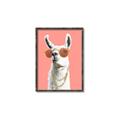 Picture of Llamarama  with glass _GroupedProduct_Rectangle_Portrait_Canvas_Framed_
