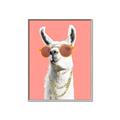 Picture of Llamarama  with glass _GroupedProduct_Rectangle_Portrait_Canvas_Framed_
