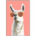 Picture of Llamarama  with glass _GroupedProduct_Rectangle_Portrait_Canvas_Framed_