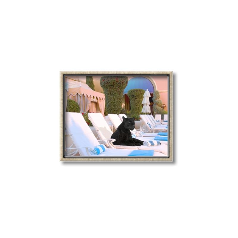 Picture of Black Panther Lounge _GroupedProduct_Rectangle_Landscape_Canvas_Framed_