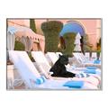 Picture of Black Panther Lounge _GroupedProduct_Rectangle_Landscape_Canvas_Framed_