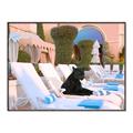 Picture of Black Panther Lounge _GroupedProduct_Rectangle_Landscape_Canvas_Framed_