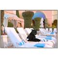 Picture of Black Panther Lounge _GroupedProduct_Rectangle_Landscape_Canvas_Framed_