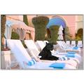 Picture of Black Panther Lounge _GroupedProduct_Rectangle_Landscape_Canvas_Framed_