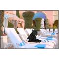 Picture of Black Panther Lounge _GroupedProduct_Rectangle_Landscape_Canvas_Framed_