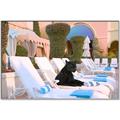 Picture of Black Panther Lounge _GroupedProduct_Rectangle_Landscape_Canvas_Framed_