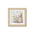 Picture of Soft Spring Pop II _GroupedProduct_Square_Framed_Matted_