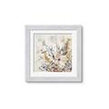 Picture of Soft Spring Pop II _GroupedProduct_Square_Framed_Matted_