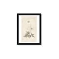 Picture of Flower Sketch I _GroupedProduct_Rectangle_Portrait_Framed_Matted_