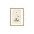 Picture of Flower Sketch I _GroupedProduct_Rectangle_Portrait_Framed_Matted_