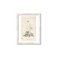 Picture of Flower Sketch I _GroupedProduct_Rectangle_Portrait_Framed_Matted_