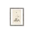 Picture of Flower Sketch I _GroupedProduct_Rectangle_Portrait_Framed_Matted_
