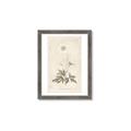 Picture of Flower Sketch I _GroupedProduct_Rectangle_Portrait_Framed_Matted_