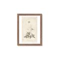 Picture of Flower Sketch I _GroupedProduct_Rectangle_Portrait_Framed_Matted_