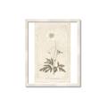 Picture of Flower Sketch I _GroupedProduct_Rectangle_Portrait_Framed_Matted_