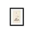 Picture of Flower Sketch I _GroupedProduct_Rectangle_Portrait_Framed_Matted_