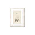 Picture of Flower Sketch I _GroupedProduct_Rectangle_Portrait_Framed_Matted_