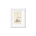Picture of Flower Sketch I _GroupedProduct_Rectangle_Portrait_Framed_Matted_
