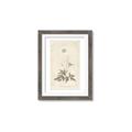 Picture of Flower Sketch I _GroupedProduct_Rectangle_Portrait_Framed_Matted_