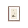 Picture of Flower Sketch I _GroupedProduct_Rectangle_Portrait_Framed_Matted_