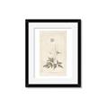 Picture of Flower Sketch I _GroupedProduct_Rectangle_Portrait_Framed_Matted_