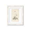 Picture of Flower Sketch I _GroupedProduct_Rectangle_Portrait_Framed_Matted_
