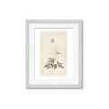 Picture of Flower Sketch I _GroupedProduct_Rectangle_Portrait_Framed_Matted_