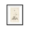 Picture of Flower Sketch I _GroupedProduct_Rectangle_Portrait_Framed_Matted_