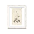 Picture of Flower Sketch I _GroupedProduct_Rectangle_Portrait_Framed_Matted_