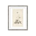 Picture of Flower Sketch I _GroupedProduct_Rectangle_Portrait_Framed_Matted_