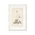 Picture of Flower Sketch I _GroupedProduct_Rectangle_Portrait_Framed_Matted_