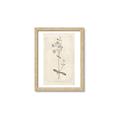 Picture of Flower Sketch II _GroupedProduct_Rectangle_Portrait_Framed_Matted_