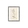 Picture of Flower Sketch II _GroupedProduct_Rectangle_Portrait_Framed_Matted_