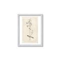 Picture of Flower Sketch II _GroupedProduct_Rectangle_Portrait_Framed_Matted_