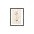 Picture of Flower Sketch II _GroupedProduct_Rectangle_Portrait_Framed_Matted_