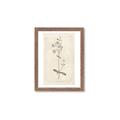 Picture of Flower Sketch II _GroupedProduct_Rectangle_Portrait_Framed_Matted_