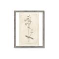 Picture of Flower Sketch II _GroupedProduct_Rectangle_Portrait_Framed_Matted_