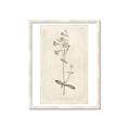 Picture of Flower Sketch II _GroupedProduct_Rectangle_Portrait_Framed_Matted_
