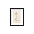 Picture of Flower Sketch II _GroupedProduct_Rectangle_Portrait_Framed_Matted_