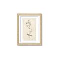 Picture of Flower Sketch II _GroupedProduct_Rectangle_Portrait_Framed_Matted_