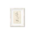 Picture of Flower Sketch II _GroupedProduct_Rectangle_Portrait_Framed_Matted_