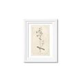 Picture of Flower Sketch II _GroupedProduct_Rectangle_Portrait_Framed_Matted_