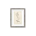 Picture of Flower Sketch II _GroupedProduct_Rectangle_Portrait_Framed_Matted_