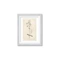 Picture of Flower Sketch II _GroupedProduct_Rectangle_Portrait_Framed_Matted_