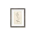 Picture of Flower Sketch II _GroupedProduct_Rectangle_Portrait_Framed_Matted_