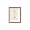 Picture of Flower Sketch II _GroupedProduct_Rectangle_Portrait_Framed_Matted_