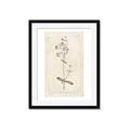 Picture of Flower Sketch II _GroupedProduct_Rectangle_Portrait_Framed_Matted_